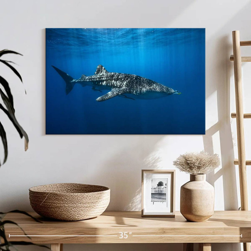Baleine Brampt dans le bleu, H 16 po x l 24 po