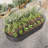 Stavya Metal Raised Garden Bed-314005412-314005417