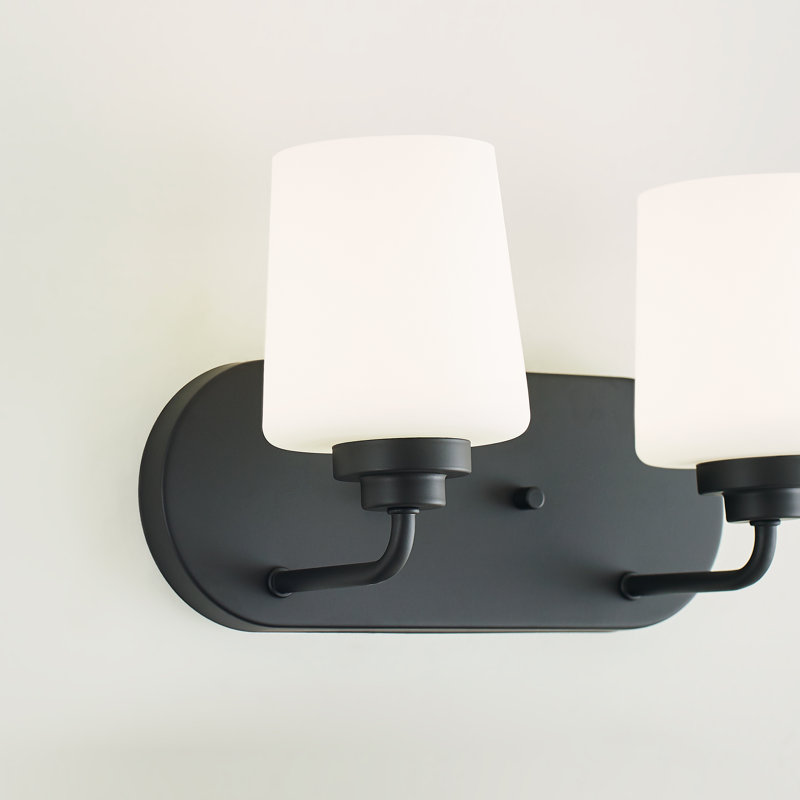 Windom 2-Light Midnight Black Dimmable Vanity Light with Etched Opal Glass