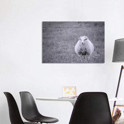 Sheep by MScottPhotography - Wrapped Canvas Print