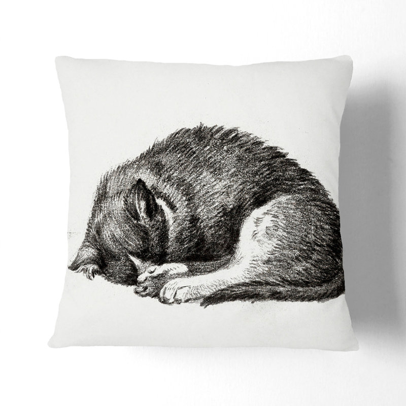 Curled Cat Square Throw Cushion, 55cm H x 55cm W x 20cm D