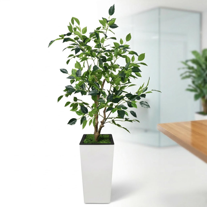 Plant, 120cm H x 23cm W x 23cm D