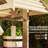 Wishing Well-937087982