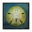«Sand Dollar» par Kaior, impression sur toile tendue-27490689