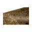 Dharma Oriental Area Rug in Camel/Ivory