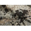 Tapis moderne abstrait 6 x 8