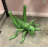 Grasshopper Insect Over Sized Statue