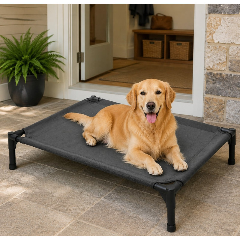 Lit surélevé robuste gris foncé pour grands chiens jusqu'à 54 kg (120 lb), utilisant un filet lavable, recyclable et durable, et une structure surélevée pour une utilisation intérieure ou extérieure.