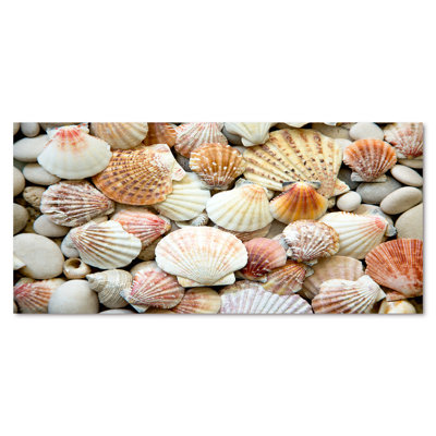 Red Orange And White Shells And Stones " Red Orange And White Shells And Stones "