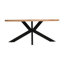 Lamantia Mango Oval Wood Top Dining Table with Iron Base