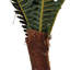 140cm Faux Fern Tree in Freestanding
