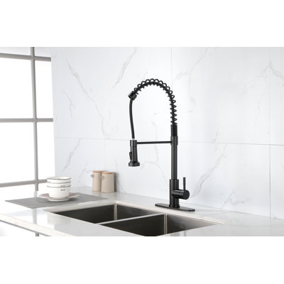 Robinet de cuisine à ressort avec douchette extractible, robinet d'évier de cuisine monocorps en acier inoxydable