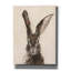 «Tyrinia European Hare II On Canvas» par Ethan Harper, reproduction-1664897226