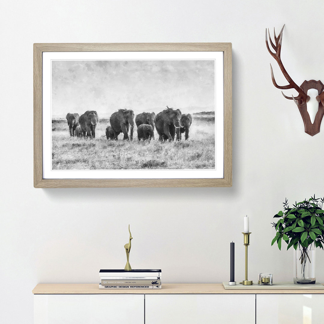 Herd of Elephants Roaming - Framed Print