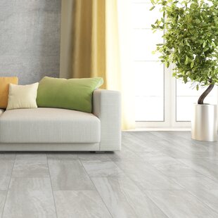 https://assets.wfcdn.com/im/72253999/resize-h310-w310%5Ecompr-r85/7401/74018723/praia-24-x-48-matte-porcelain-floor-wall-tile.jpg