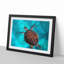 A Sea Turtle in Abstract - Framed Print-55629321-55629326