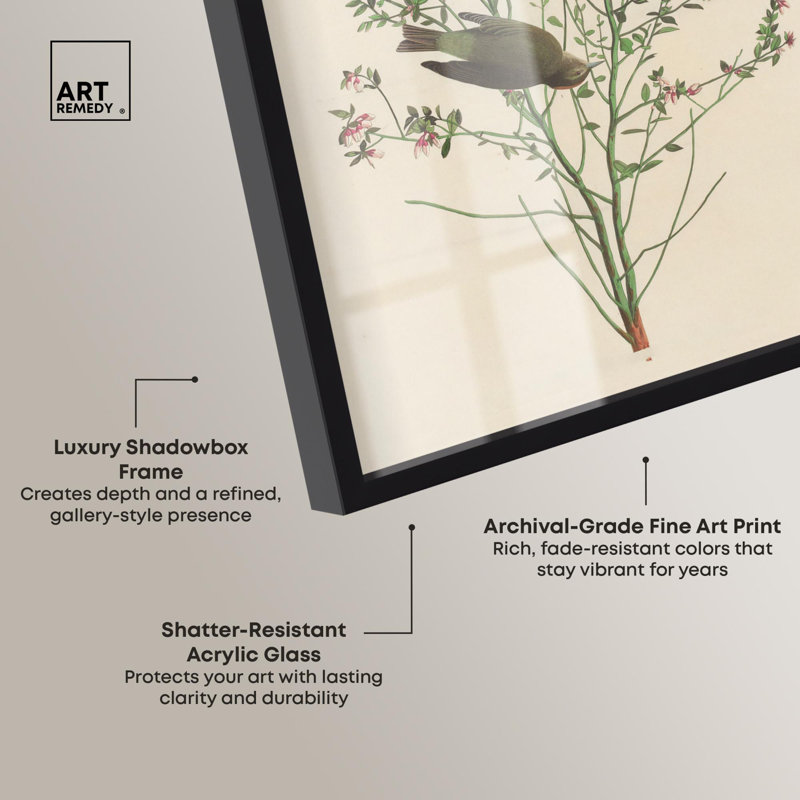 Art botanique Airy Thicket Shadowbox par Art Remedy, H 16 po x l 11 po, Noir