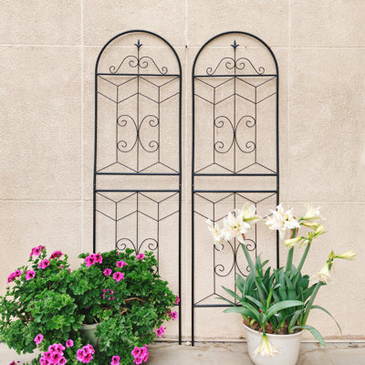 Ensemble de 2 treillis de jardin en métal, support extérieur antirouille pour plantes grimpantes et fleurs, noir