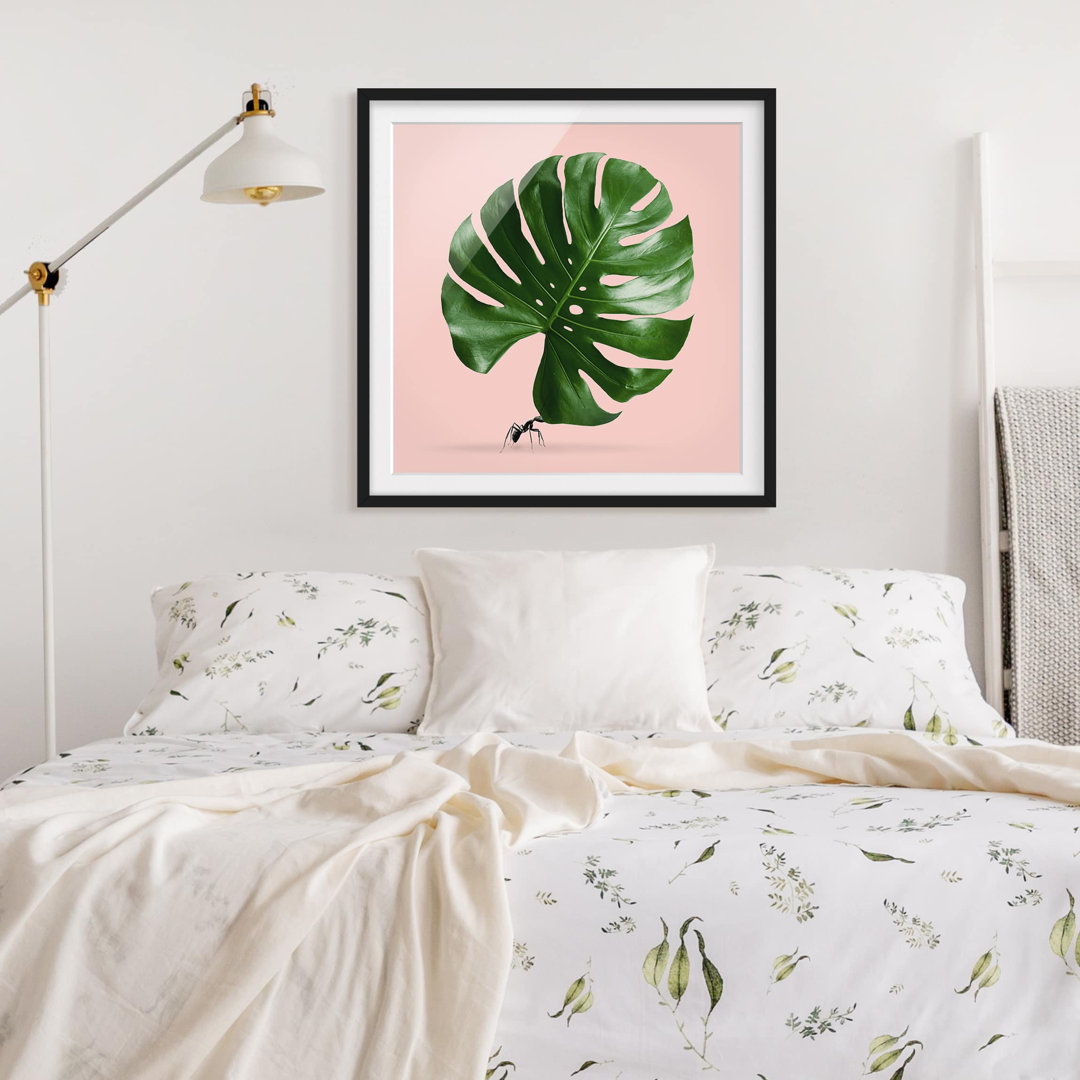 Gerahmtes Poster Ant mit Monstera Leaf von Jonas Loose