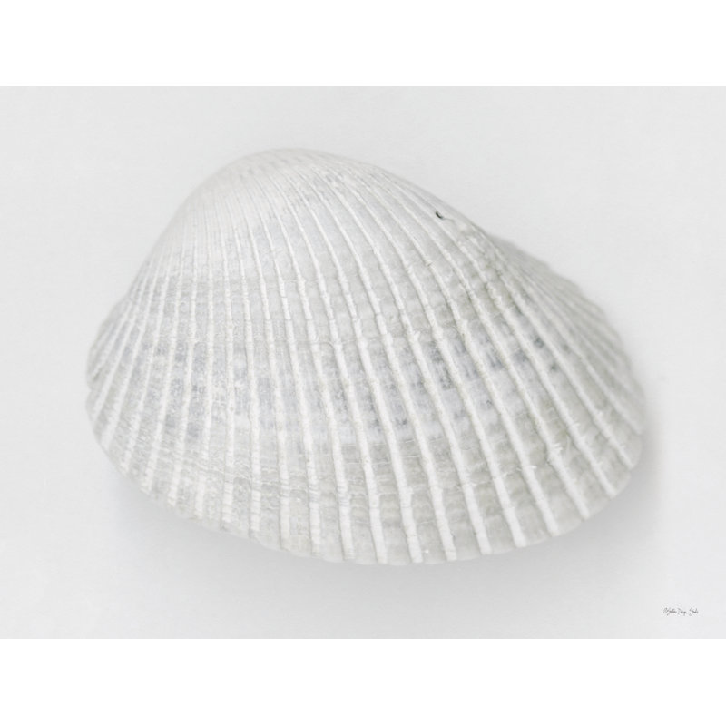 Doux pétoncle 1 sur toile par Stellar Design Studio, H 8 po x l 12 po x P 1,25 po