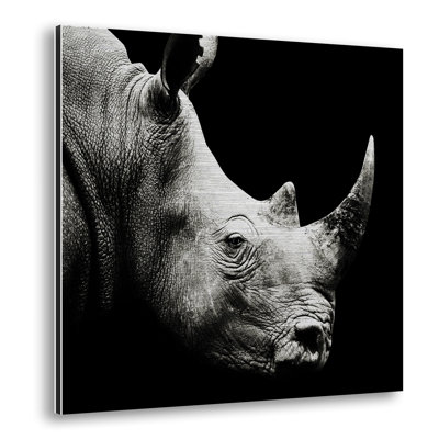 Rhino - No Frame Print on Metal