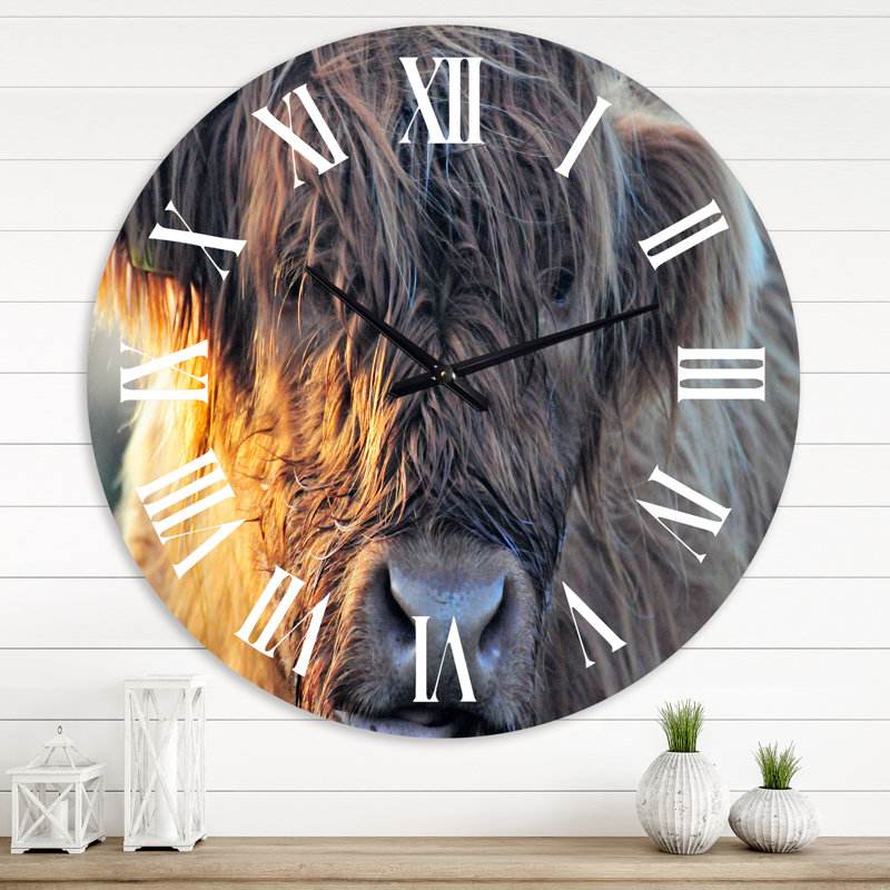 Vache écossaise sur une terre ferme - horloge murale, Surdimensionné