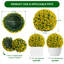 Boules topiaires artificielles jaunes (paquet de 2) - boules de 16 po en fausse fleur pour jardin ou patio-544307488-544308955