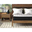 Matelas hybride 9 po Wayfair Sleep - ferme - simple TG-590669933-590669906