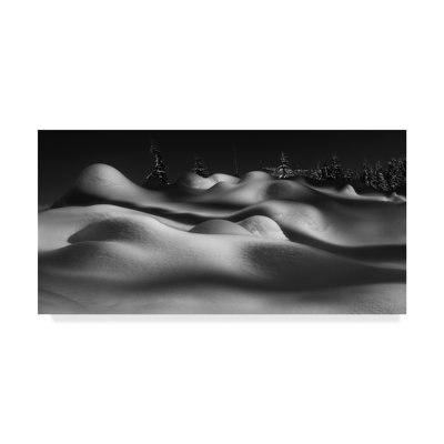 'Sleeping Beauties' Graphic Art Print on Wrapped Canvas