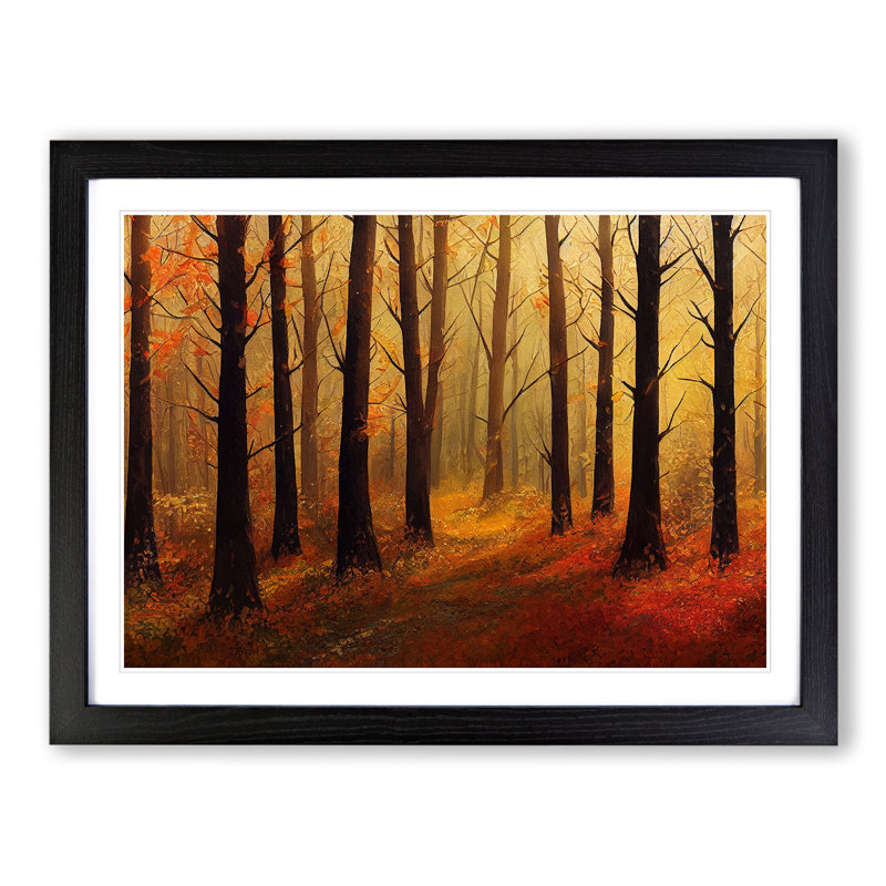 An Appealing Autumn Forest - Single Picture Frame Print, 46cm H x 64cm W x 2cm D, Black