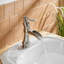 Robinet pour salle de bain à poignée simple avec drain-91161072