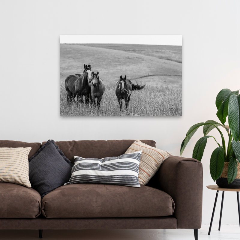 Contemporary Montana Moves Crop, H 48 po x l 32 po