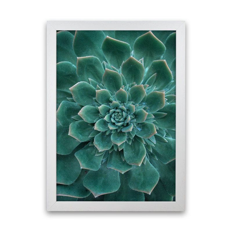 Green Succulent Plant 1 Piece Wall Art, 88cm H x 64cm W x 3cm D, White Framed