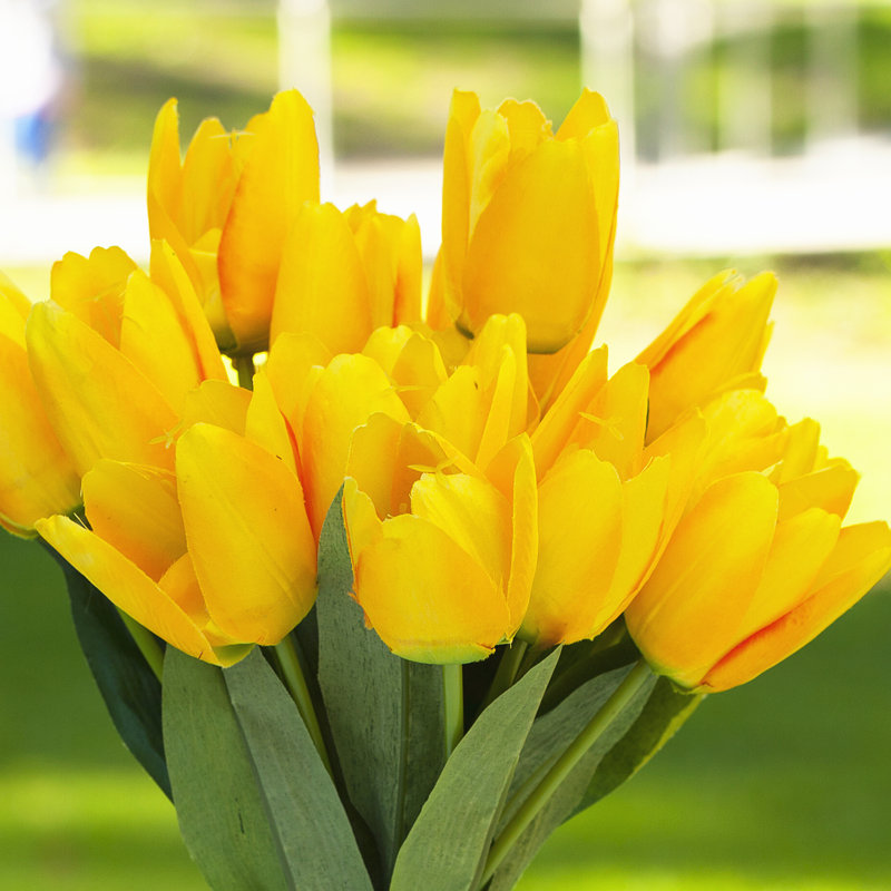 Faux Silk Tulip Arrangement in Vase, Yellow