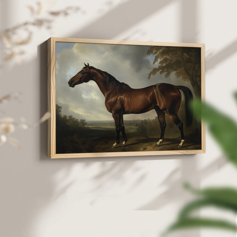 Faune, série LVII, reproduction encadrée, H 8 po x l 10 po, Naturel