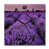 Black/Purple selected
