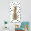 Pois ananas-995776485
