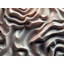 Contours de la mémoire-129393008