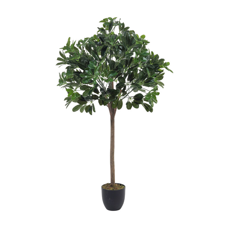 Burkitt 122cm Plant: Lifelike & Zero Maintenance