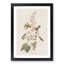 Columbian Hummingbirds by John Audubon - Picture Frame Painting-57864616-57864621