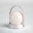 Millicent 8.25'' Battery Powered Integrated LED Color Changing Outdoor Lantern-64104335