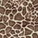 Rayna Gavin Brown Ivory Modern Giraffe Animal Print Indoor Area Rug, Flat Pile for Living Room & Bedroom