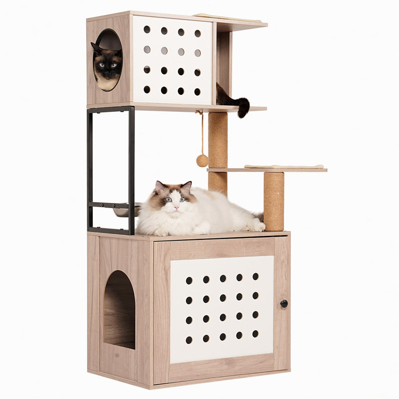 Arbre à chat avec litière, station d'alimentation, poteaux à griffer