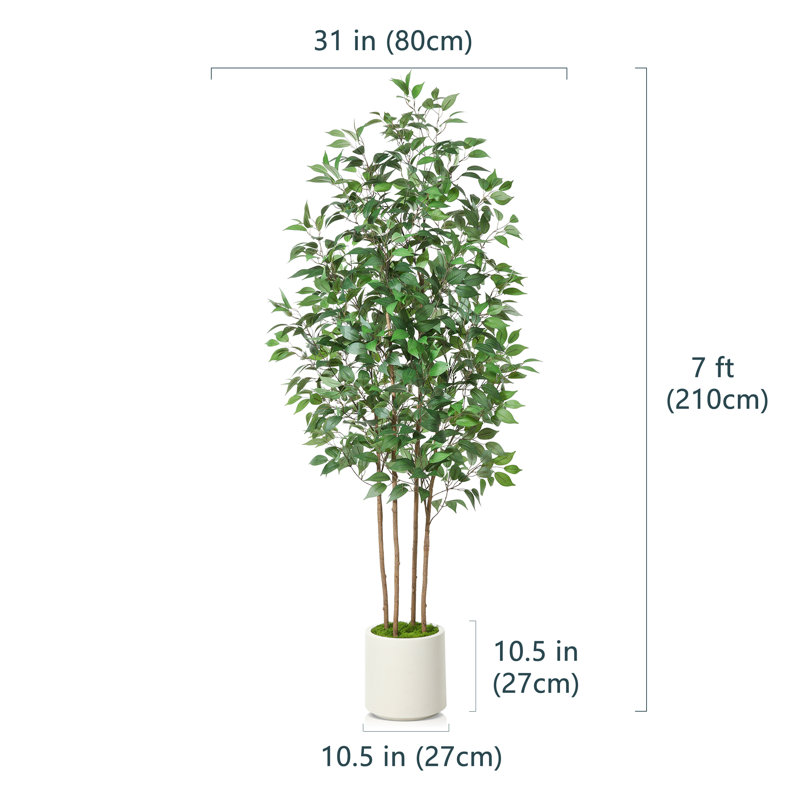 Adcock Faux Ficus Tree in White Planter, 82" H x 20" W x 20" D