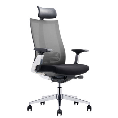 Spuyten Ergonomic Mesh Task Chair