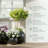 Signature Genest 1-Piece Fiberstone Planter For Indoor/Outdoor-365544822-365544818
