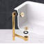 Drain de baignoire Trip Lever-100521600