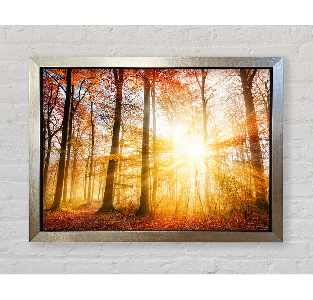 Great British Autumn Woodland Gerahmter Druck