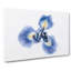 An Iris Flower In Blue Painting - Wrapped Canvas-56656675