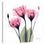 Gentian Faith - impression sur toile tendue-23604706